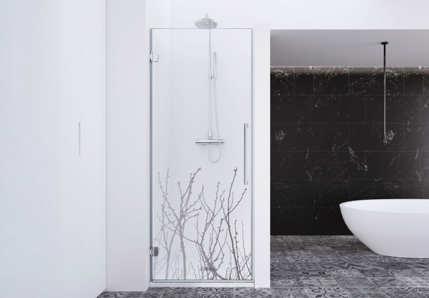 Paroi de douche Profiltek Newglass (NE-210) Principal 0