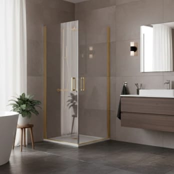 Paroi de douche Vega (300A)