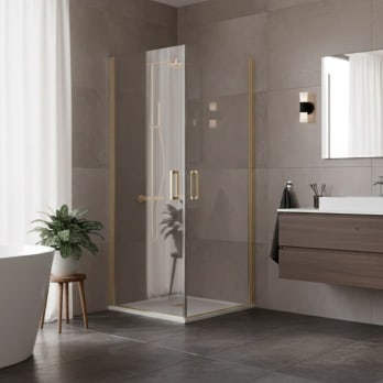 Paroi de douche Vega (300A)