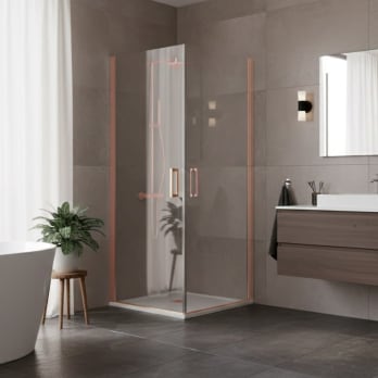 Paroi de douche Vega (300A)