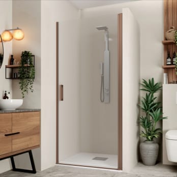 Paroi de douche Vega (P00)