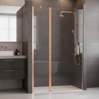 Paroi de douche Vega (100B)