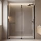 Paroi de douche Profiltek Vanity (ST-210) 2