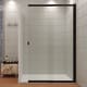 Paroi de douche Bruntec Ares (100) 1