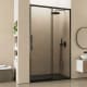 Paroi de douche Profiltek Salma (SA-310) Principal 0