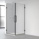 Paroi de douche Profiltek Glam (GL-220) opción 6