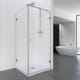 Paroi de douche Profiltek Newglass (NE-208) Principal 0