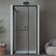 Paroi de douche Bruntec Next (100 B) 2