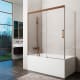 GME pare-baignoire Basic Principal 6