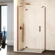 Paroi de douche de GME, Verre (COMBI C + paroi latérale fixe) Principal 6