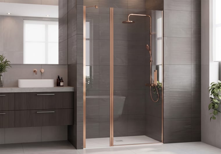 Paroi de douche Vega (100B) Principal 4