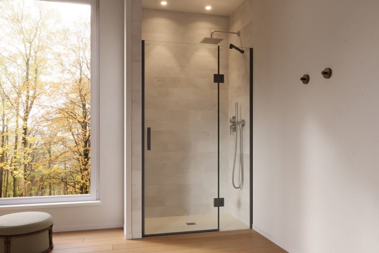 Paroi de douche Adhara (100B) Principal 1
