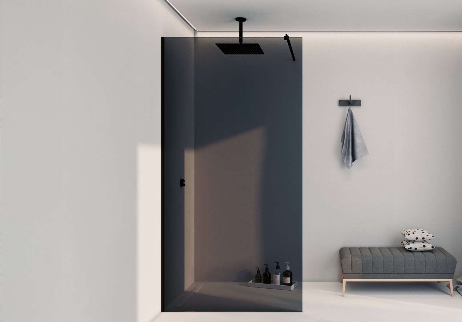 Paroi de douche Bruntec Domus Art Principal 1